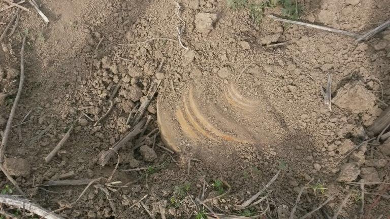 Джоджуг Марджанлы очищают от армянских мин и ракет