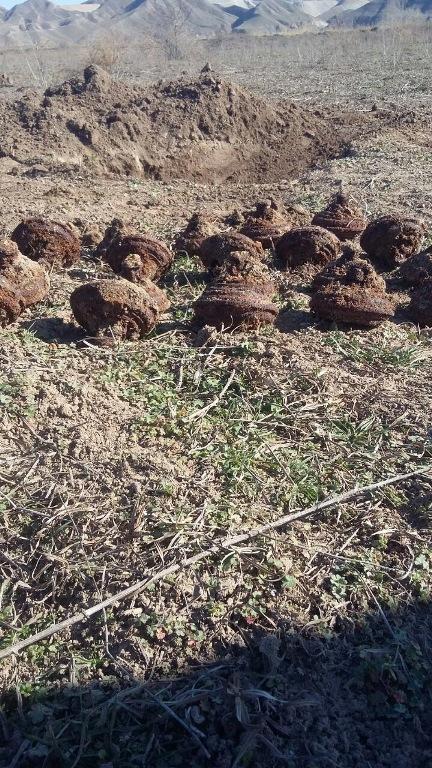 Джоджуг Марджанлы очищают от армянских мин и ракет