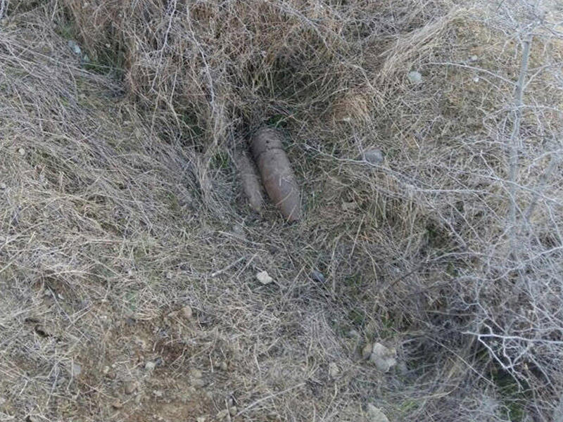 Cəmiyyət Tovuzda otlaq sahəsində tank mərmiləri tapılıb