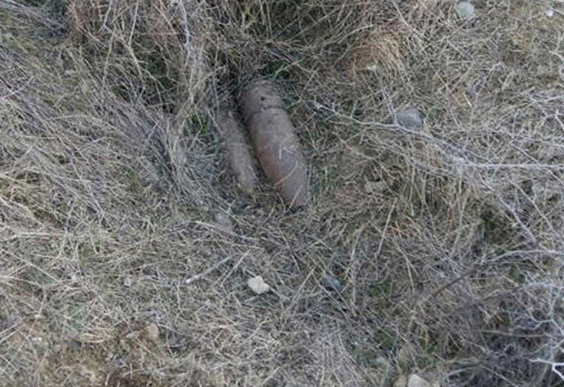 Cəmiyyət Tovuzda otlaq sahəsində tank mərmiləri tapılıb