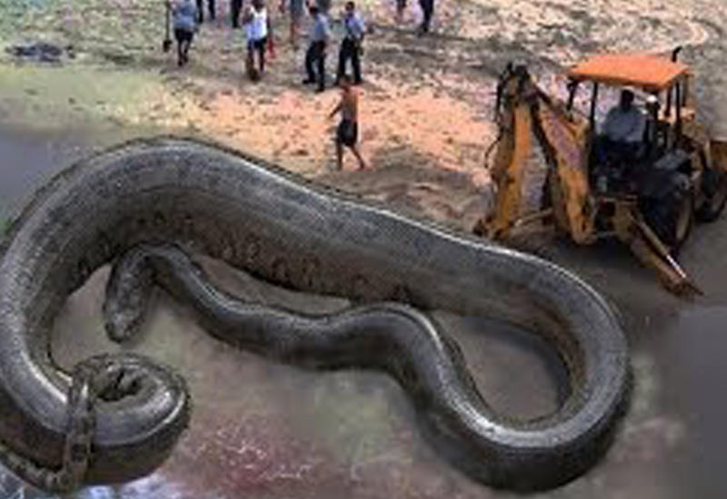 5 неразгаданных тайн, о которых ты не знал