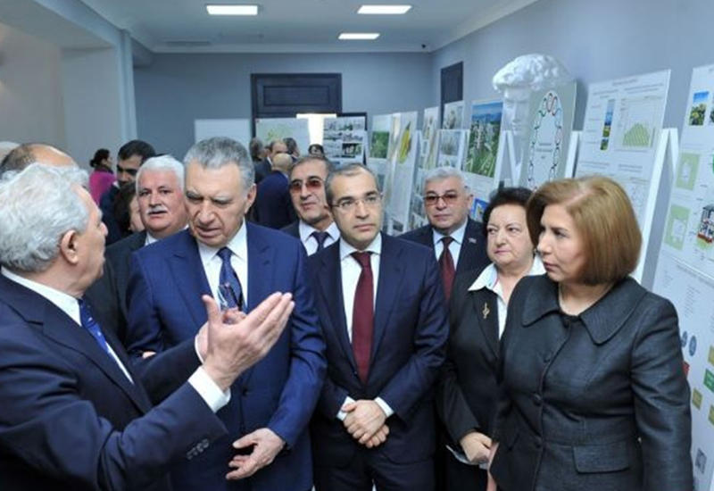 Студенты рассказали, как развивать Карабах на примере Агдама