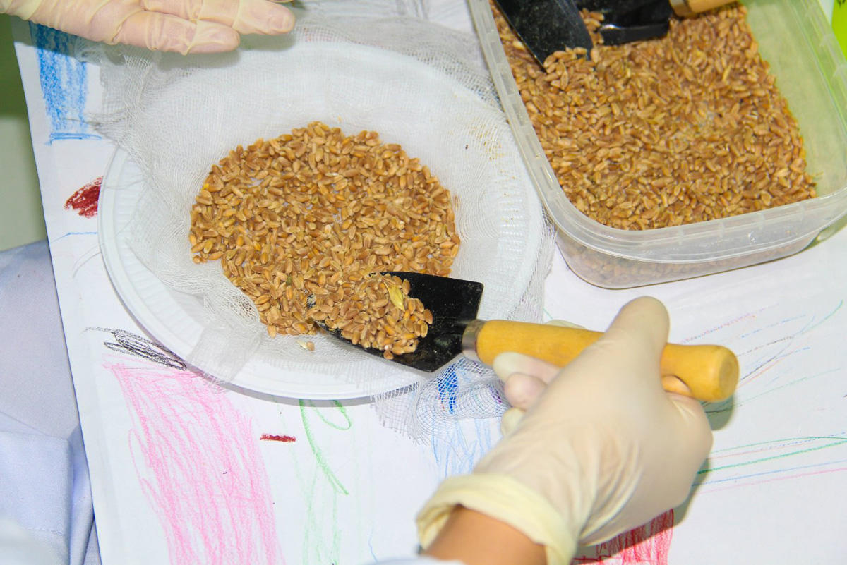 "Uşaqlar üçün ekoloji laboratoriya" çərçivəsində təlim keçirilib