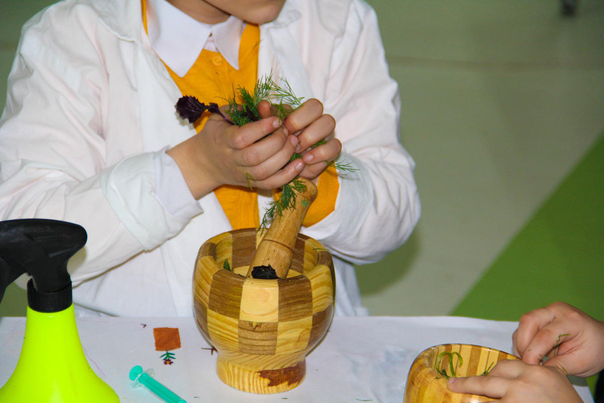 "Uşaqlar üçün ekoloji laboratoriya" çərçivəsində təlim keçirilib