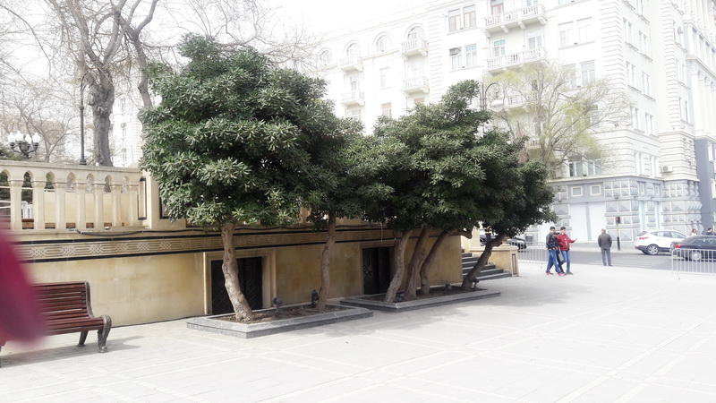 Весенняя прогулка по парку Сабира