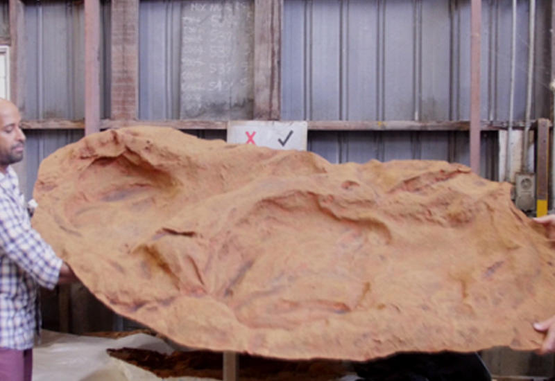 В Австралии нашли самый крупный в мире след динозавра