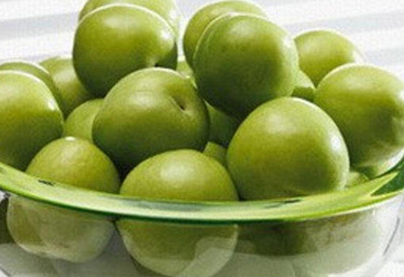 Alçanı apreldə 320 manat, yayda 50 qəpik edən səbəblər