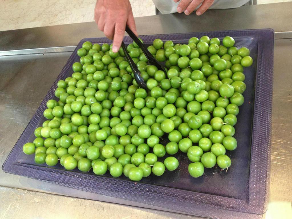 Alçanı apreldə 320 manat, yayda 50 qəpik edən səbəblər