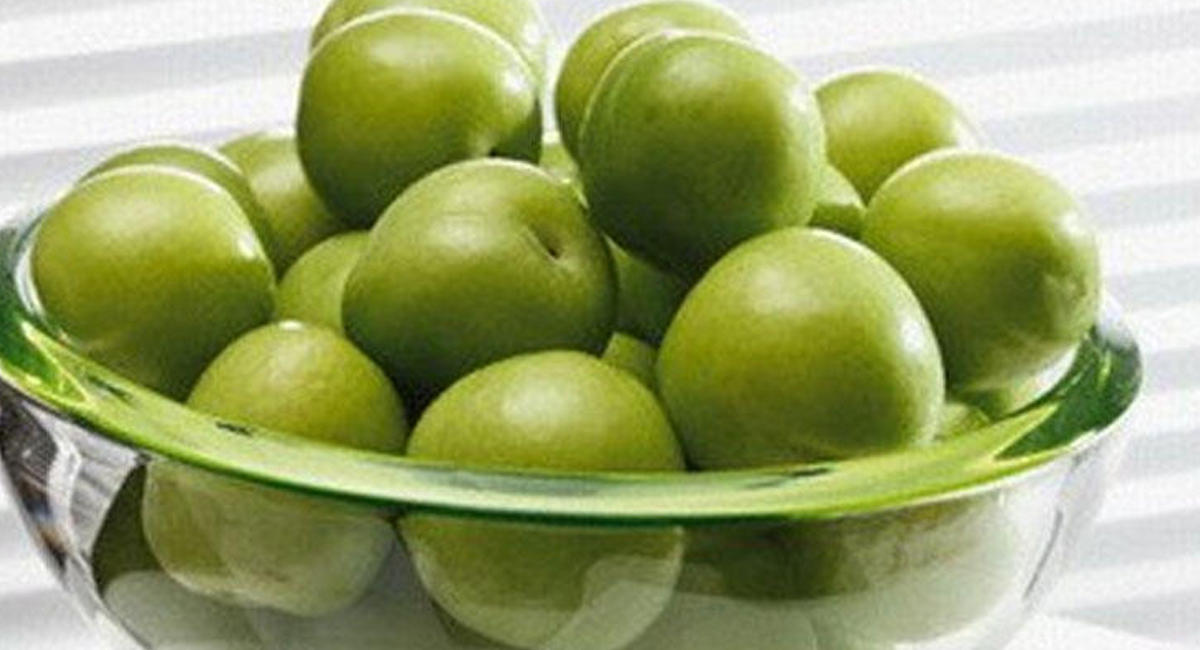 Alçanı apreldə 320 manat, yayda 50 qəpik edən səbəblər