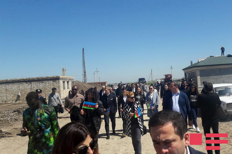 Иностранные студенты посадили деревья в Джоджуг Марджанлы