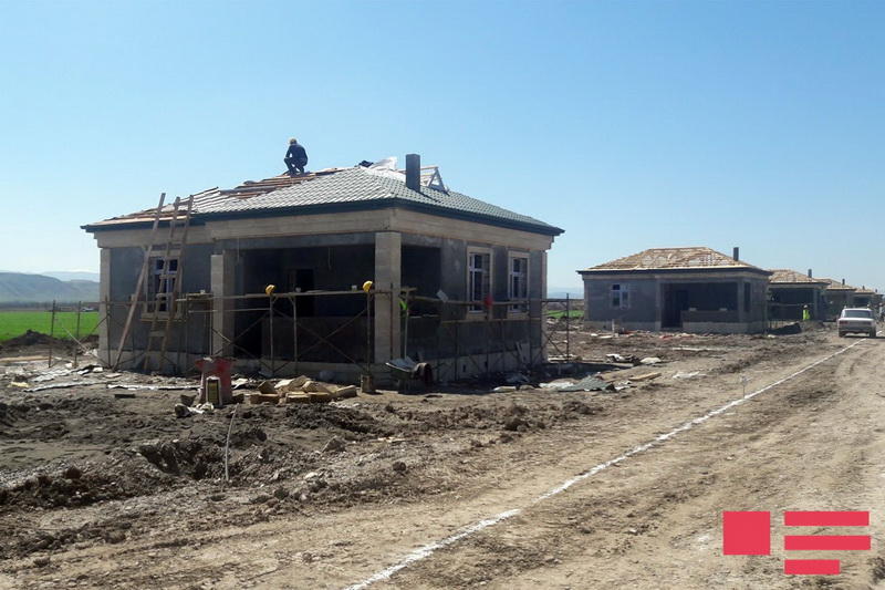 Иностранные студенты посадили деревья в Джоджуг Марджанлы