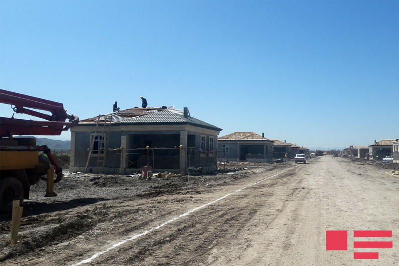 Иностранные студенты посадили деревья в Джоджуг Марджанлы