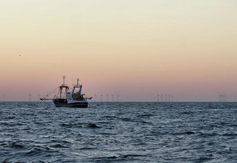 Полиция выловила в море сумки с кокаином на 62,5 млн. евро