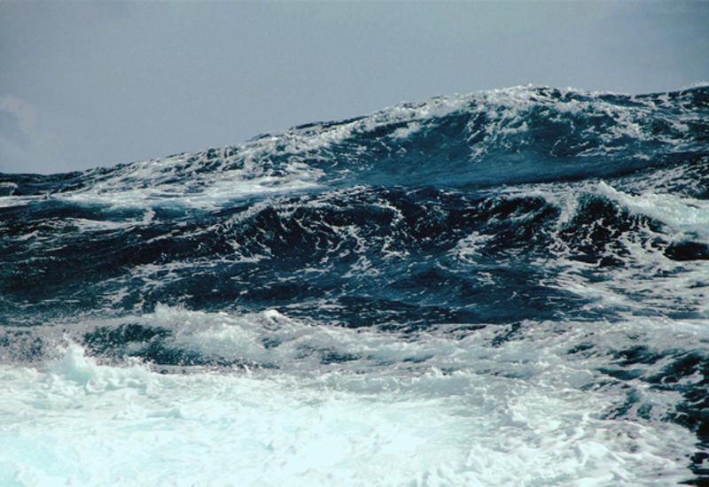 20 гостей свадьбы погибли в столкновении прогулочного судна с баржей