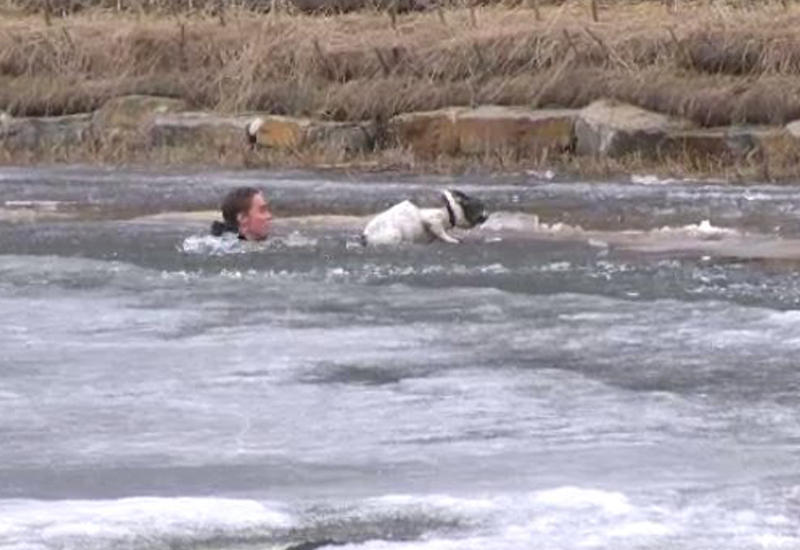 Канадец спас свою собаку, которая чуть не утонула в озере