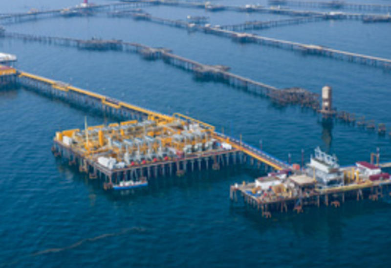Французская компания и SOCAR очистят воды Каспия
