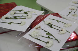 "Uşaqlar üçün laboratoriya" layihəsi çərçivəsində növbəti təlim