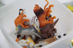 "Uşaqlar üçün laboratoriya" layihəsi çərçivəsində növbəti təlim