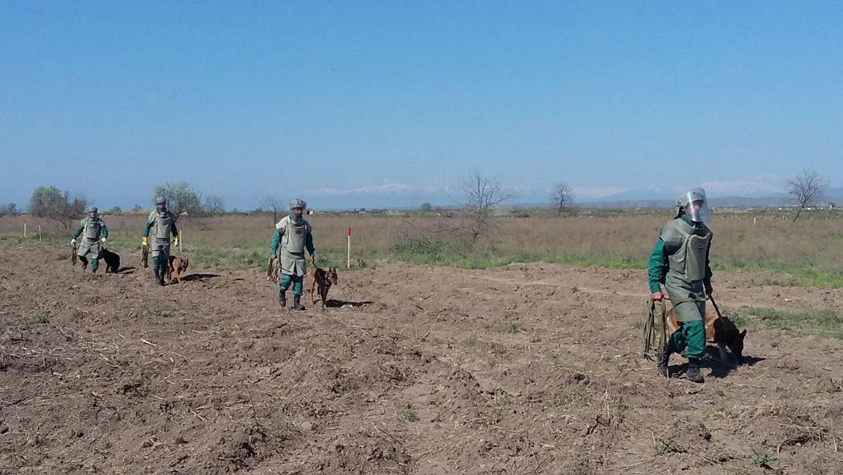Cocuq Mərcanlıda tank əleyhinə mina partladıcıları tapılıb