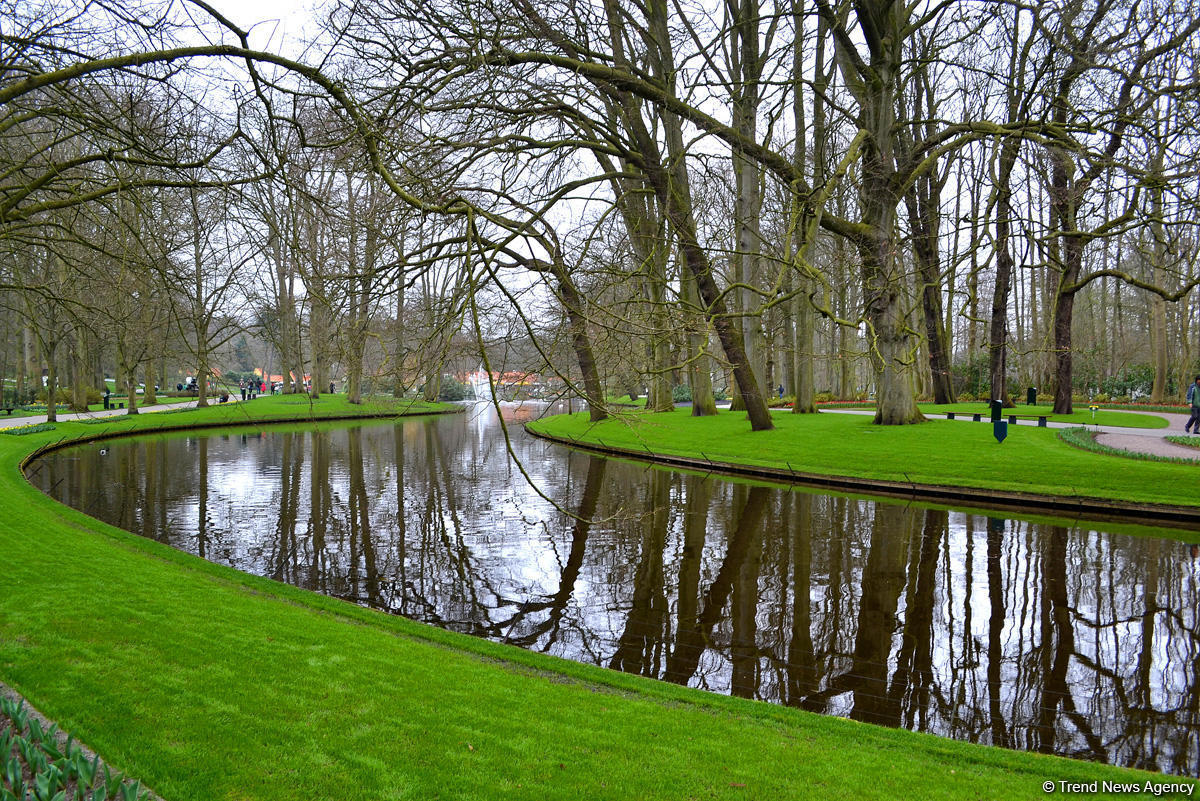 Прогулка по весеннему цветущему Амстердаму