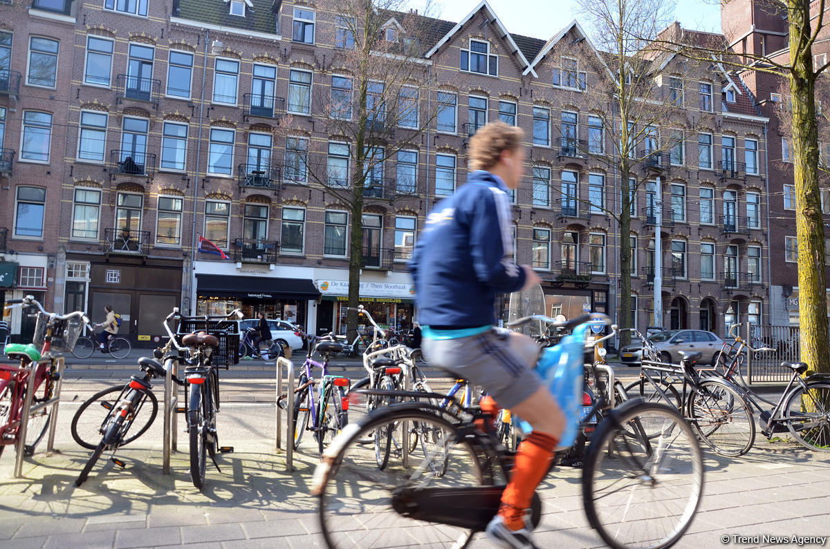 Прогулка по весеннему цветущему Амстердаму