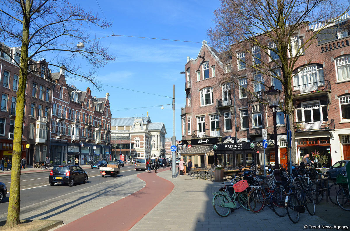 Прогулка по весеннему цветущему Амстердаму