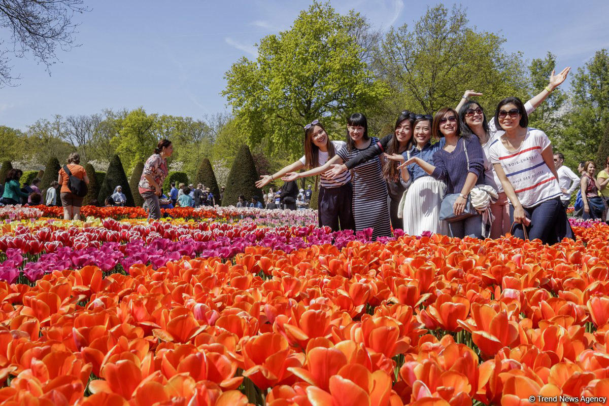 Прогулка по весеннему цветущему Амстердаму