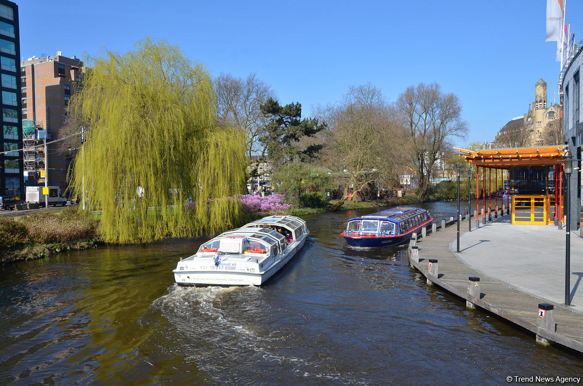 Прогулка по весеннему цветущему Амстердаму