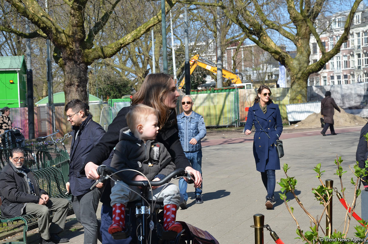 Прогулка по весеннему цветущему Амстердаму