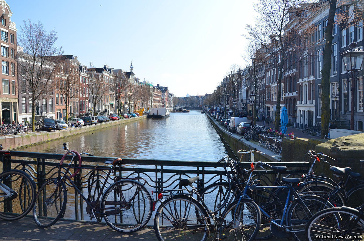 Прогулка по весеннему цветущему Амстердаму