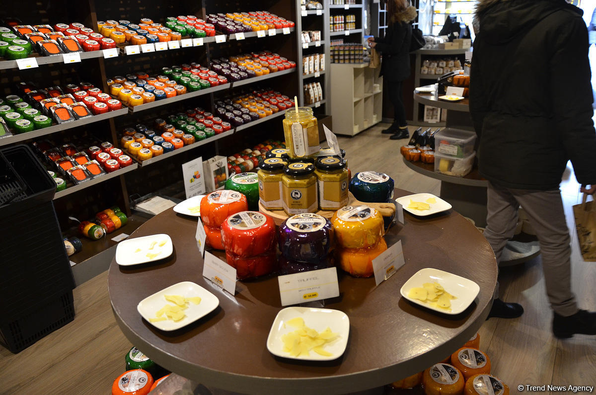 Прогулка по весеннему цветущему Амстердаму