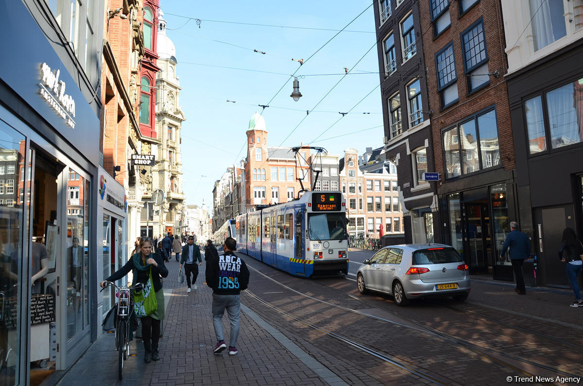 Прогулка по весеннему цветущему Амстердаму