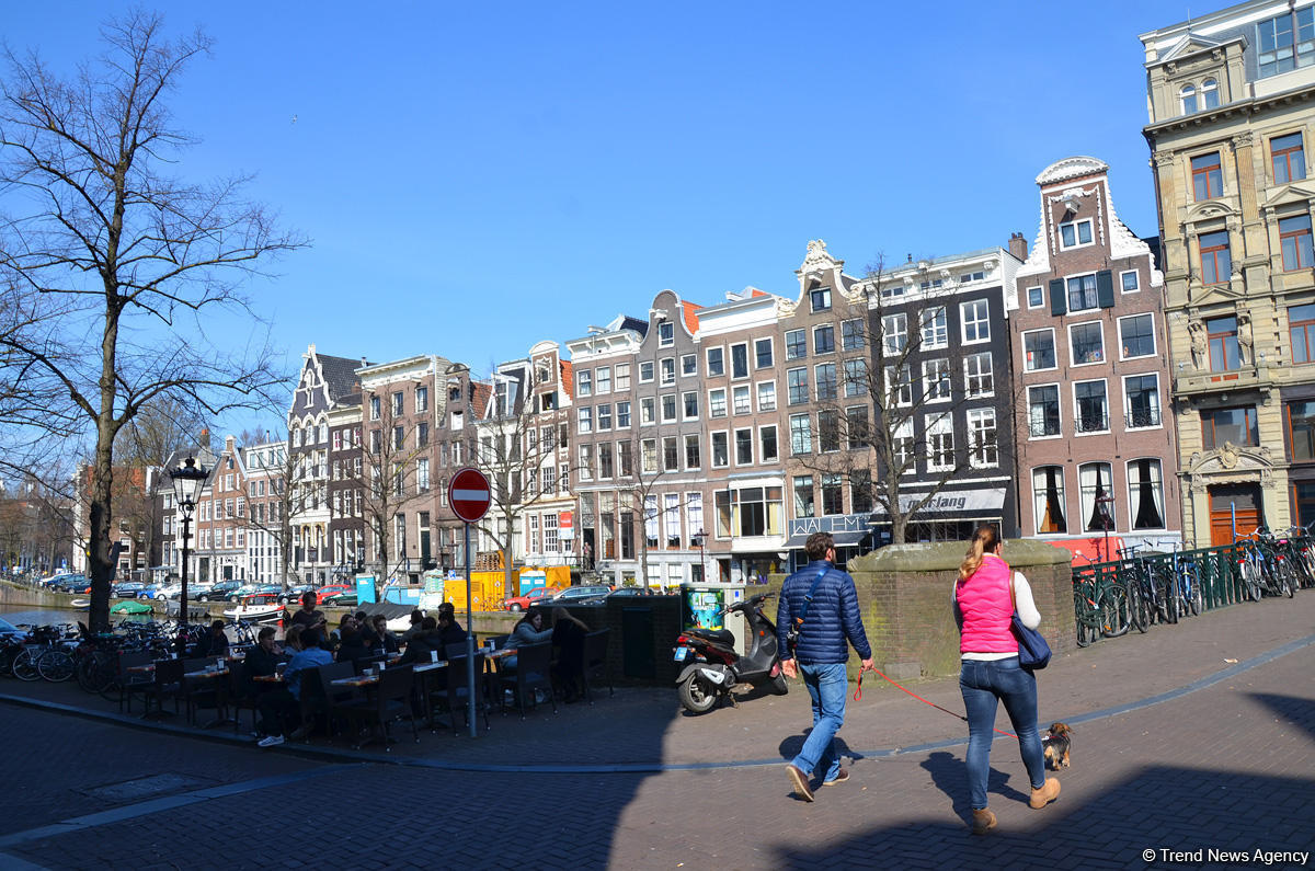 Прогулка по весеннему цветущему Амстердаму