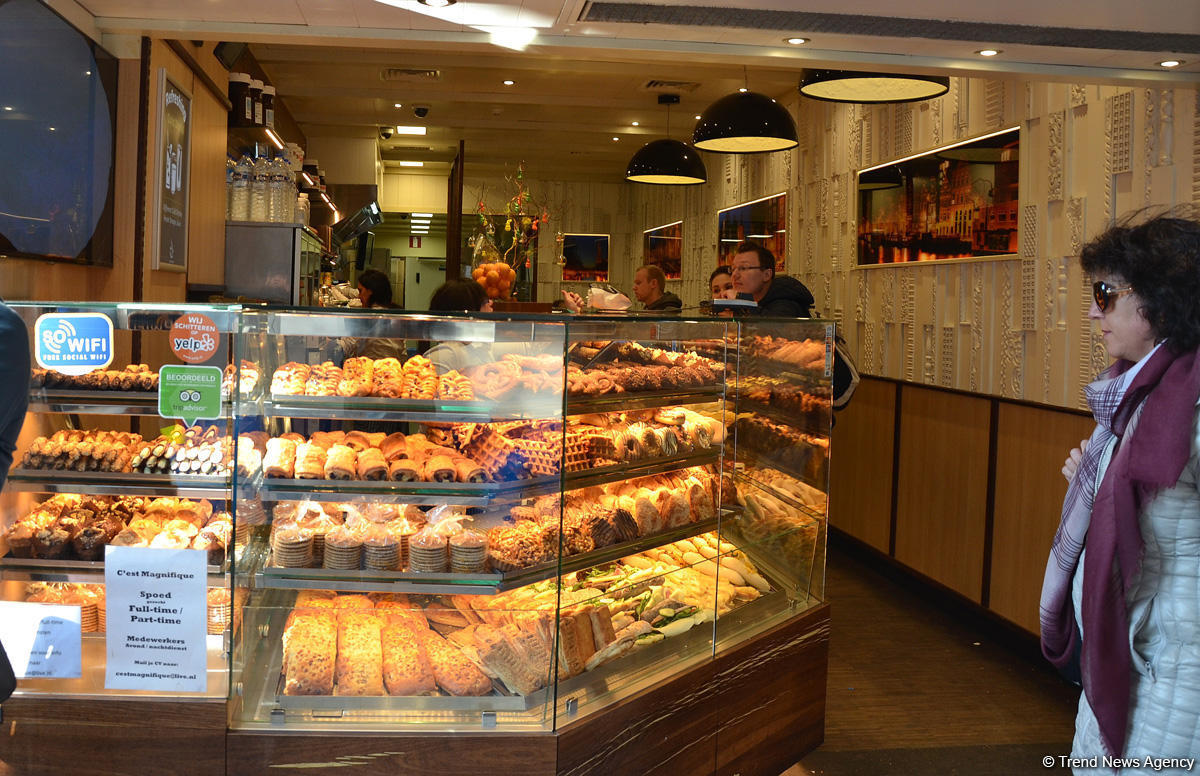 Прогулка по весеннему цветущему Амстердаму