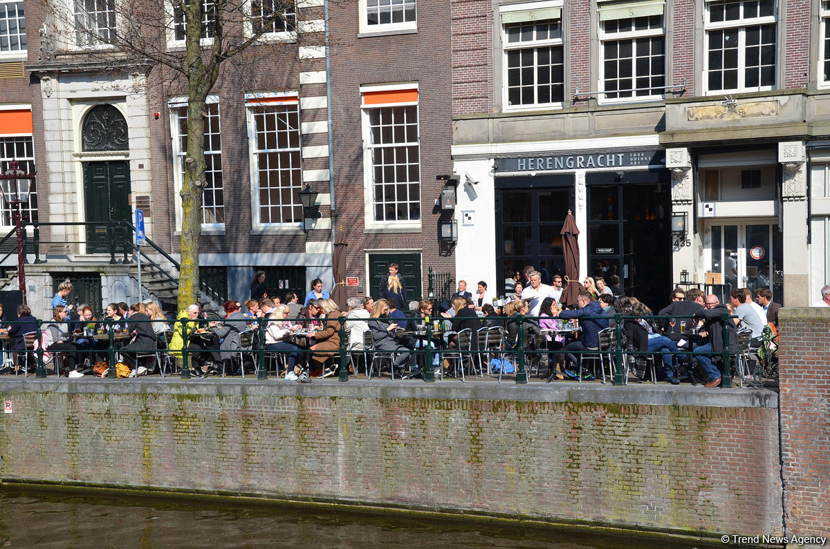 Прогулка по весеннему цветущему Амстердаму