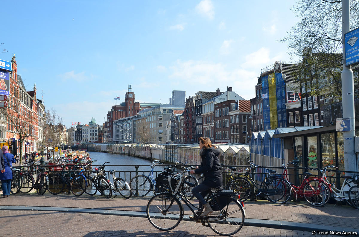 Прогулка по весеннему цветущему Амстердаму