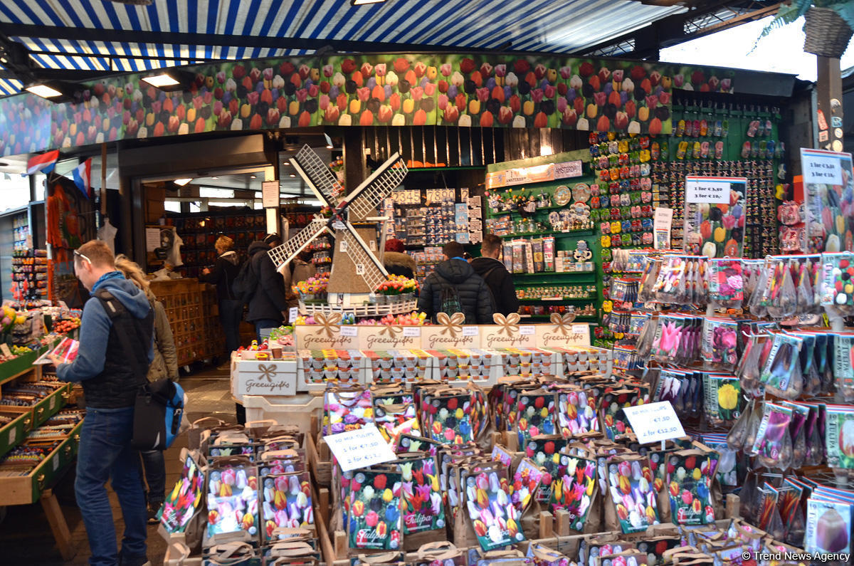 Прогулка по весеннему цветущему Амстердаму