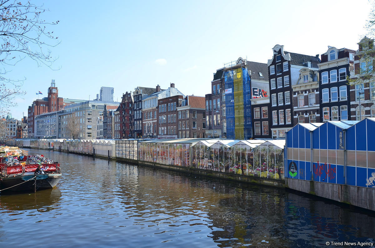 Прогулка по весеннему цветущему Амстердаму