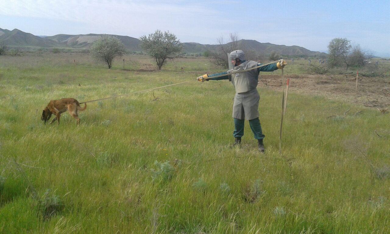 Cocuq Mərcanlıda top mərmisinin döyüş başlığı və piyada əleyhinə mina tapılıb