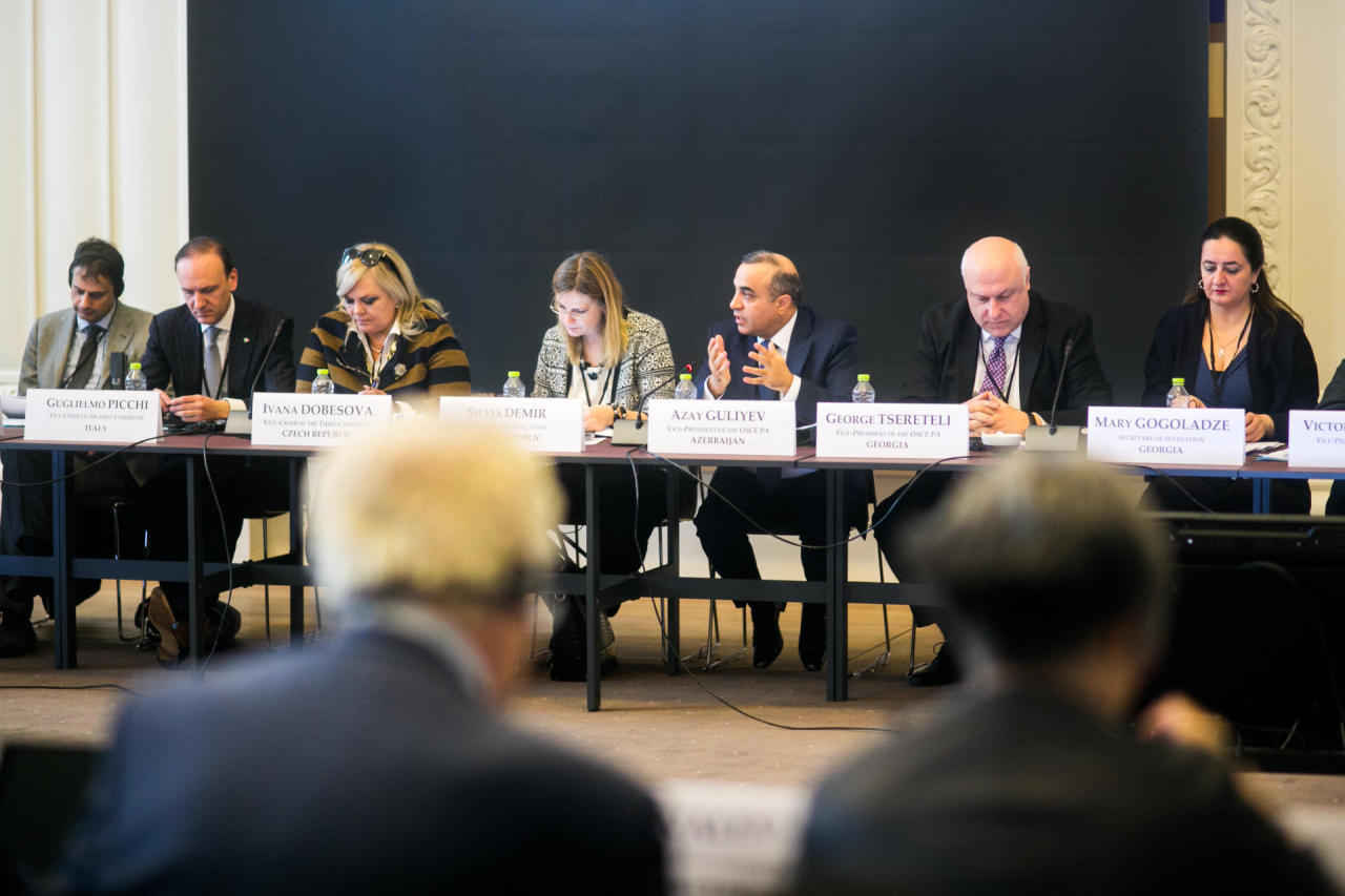 Azay Quliyev ATƏT PA-nın baş katibi ilə görüşdü