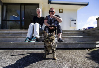 В Новой Зеландии разоблачили кота, который жил на две семьи