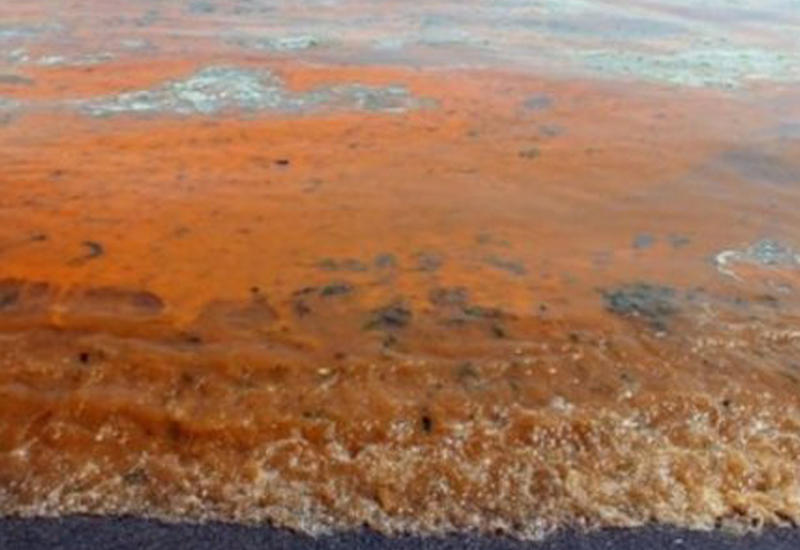 Жителей Стамбула напугало оранжевое море