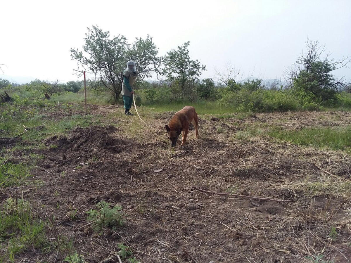 Cocuq Mərcanlıda partlamamış hərbi sursatlar tapılıb