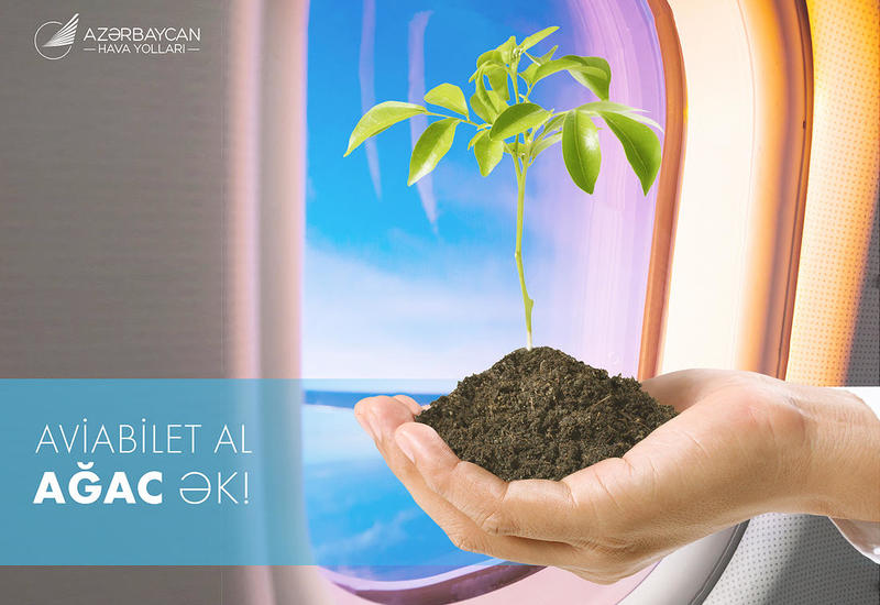 AZAL-dan aviabilet al – ağac ək!