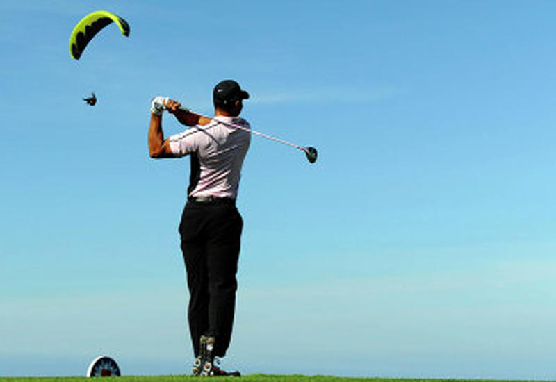 Гольфист случайно убил птицу точным ударом