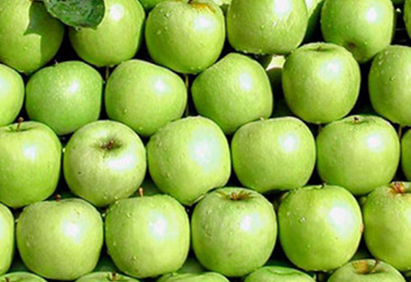 В Армении определили главную угрозу своей безопасности