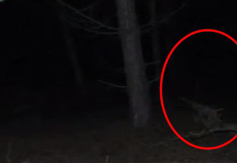 Американцу явилось таинственное существо с черными глазами