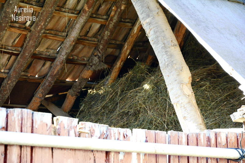 Киш: в Азербайджане есть место, где исполняются желания