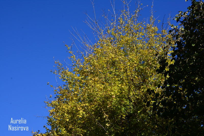 Киш: в Азербайджане есть место, где исполняются желания