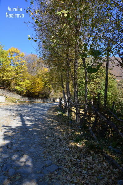 Киш: в Азербайджане есть место, где исполняются желания